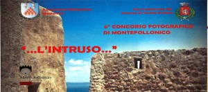 Concorso Fotografico: L’intruso