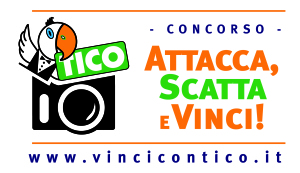 Attacca scatta e vinci