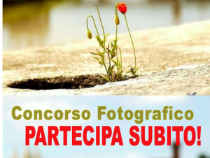 Concorso Fotografico Fior di Città 2015