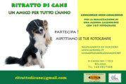 Concorso Fotografico Ritratto di cane. Un amico tutto l’anno – Scadenza 03 Ottobre 2016