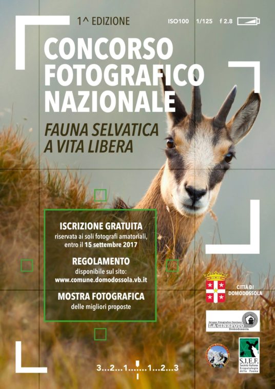 Concorso fotografico nazionale "Fauna selvatica a vita libera"