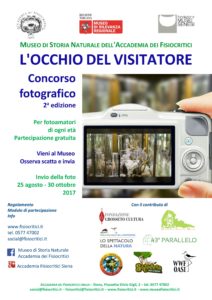 L'occhio del visitatore - 2a edizione